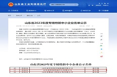 公司通过2023年省级“专精特新”中小企业认定